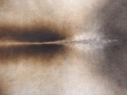 Натуральная шкура коровы серо-бежевая арт.: 31376 - T69ce44ac19990741434393