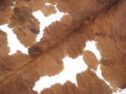 Натуральная шкура коровы коричнево-белая арт.: 31380 - T69cfb23e9b783098828257