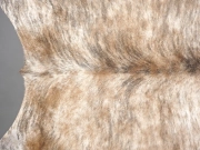 Шкура коровы натуральная тигровая арт.: 31310 - T694166aec5110426621161