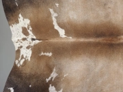 Шкура коровы натуральная серо-бежевая арт.: 31370 - T69ca30c06139b369933848