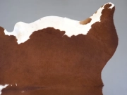 Натуральная шкура коровы коричнево-белая Герефорд арт.: 31329 - T69807c93e648d942960737