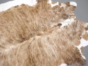 Шкура коровы натуральная тигровая светлая арт.: 31402 - T69e22051eb426337255494