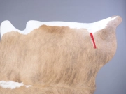 Шкура коровы натуральная бежево-белая арт.: 29337 - T652e58d2479c6059350398