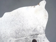 Шкура коровы натуральная соль и перец арт.: 31305 - T69206b44d109b241600188