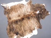 Шкура коровы натуральная тигровая арт.: 31263 - T68c2cdeb6449a625222111