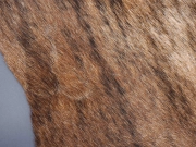 Шкура коровы ковер натуральная тигровая арт.: 29312 - T652d289cbcdd5156794028