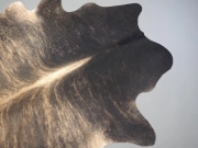 Шкура коровы натуральная тигровая арт.: 31374 - T69ce1784ca6ad517144958