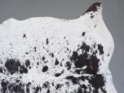 Шкура коровы натуральная соль и перец арт.: 31352 - T698c6c3d659f4639859968