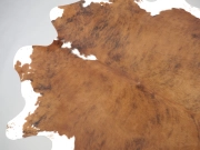 Шкура коровы натуральная тигровая арт.: 31321 - T6970c31613349517199086