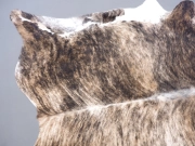 Коровья шкура натуральная тигровая арт.: 30381 - T65df23743c439124845555