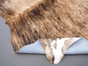 Шкура коровы натуральная тигровая арт.: 31263 - T68c2cdeb089d2755995590