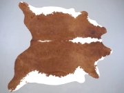 Натуральная шкура коровы коричнево-белая Герефорд арт.: 31347 - T698487c50d833875952157