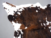 Шкура коровы натуральная трехцветная арт.: 30288 - T6502fb48907a0326391032