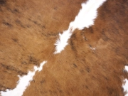 Коровья шкура тигровая с белой холкой арт.: 30246 - T65294116cfb51227791476