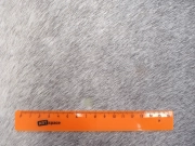 Шкура коровы натуральная серо-бежевая арт.: 31400 - T69e1fbad79826006266681