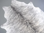 Шкура коровы натуральная серая полосатая арт.: 31384 - T69d37fa1b2509508414987