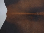 Натуральная шкура коровы черно-белая красноватая арт.: 31362 - T69970be874e38286339108