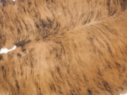Шкура коровы ковер натуральная тигровая с белым животом арт.: 29434 - T652d4caba8db0353400549