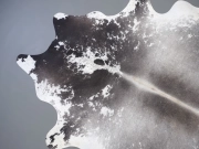 Шкура коровы натуральная серая арт.: 31365 - T699d973f060bd388170466