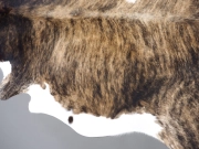 Коровья шкура натуральная тигровая арт.: 30447 - T661644ba94f66435338589
