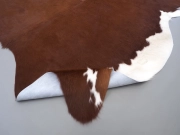 Натуральная шкура коровы коричнево-белая Герефорд арт.: 31342 - T698204614f03a768184979