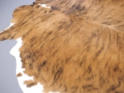 Шкура коровы ковер натуральная тигровая с белым животом арт.: 29434 - T652d4cac70e4a294945470