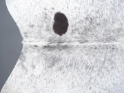 Шкура коровы натуральная соль и перец арт.: 31305 - T69206b430a895849382037