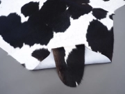 Шкура коровы черно-белая натуральная арт.: 30400 - T65eaf7235bc2c243382529