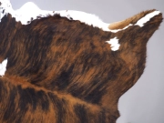 Шкура коровы ковер натуральная тигровая с белым животом и холкой арт.: 29230 - T652d4e0169475968215164