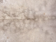 Натуральная коровья шкура альпийская арт.: 31330 - T69807f1765da0168122127