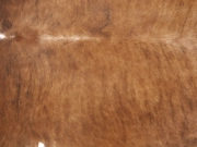 Ковер шкура коровы натуральная арт.: 29468 - T652cf7161654a386267153