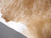 Ковер шкура коровы на пол натуральная тигровая арт.: 30423 - T66111b3bc5601522212486