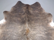 Шкура коровы натуральная экзотическая светлая арт.: 31385 - T69d3b1b503d50222421879