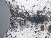 Шкура коровы натуральная соль и перец арт.: 31302 - T691dbfa786b9f793142232