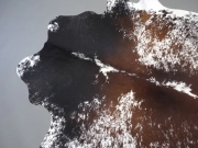 Натуральная шкура коровы черно-белая красноватая арт.: 31371 - T69ca4479512a8996823297