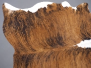 Шкура коровы натуральная тигровая арт.: 31265 - T68c41f504b1e9892346174