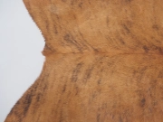 Шкура коровы натуральная тигровая арт.: 31321 - T6970c3158b31c265696859