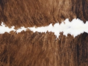 Шкура коровы натуральная тигровая арт.: 31341 - T6981c35ccd25d060202004