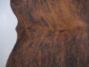 Шкура коровы натуральная тигровая арт.: 31363 - T69985027e93b8410790695