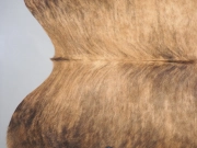 Шкура коровы натуральная тигровая арт.: 31378 - T69cf774b5155b738840381