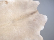 Шкура коровы натуральная бежево-белая арт.: 31319 - T696a214fc1642623888944