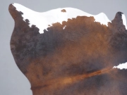 Натуральная шкура коровы черно-белая красноватая арт.: 31294 - T690b32b7ccd30021756926