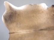 Натуральная шкура коровы серо-бежевая арт.: 31377 - T69cf768643dfa669225989