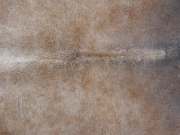 Натуральная шкура коровы серо-бежевая арт.: 31286 - T68e650bc131e5263165596