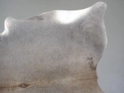 Шкура коровы натуральная серая арт.: 31360 - T699316e4cd9aa651810266