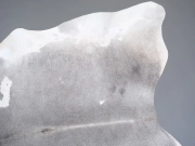 Шкура коровы маленького размера серая арт.: 31320 - T696a2c9dae0d3655166371