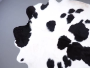Шкура коровы натуральная на пол черно-белая арт.: 30308 - T652fbc59c8654864411707