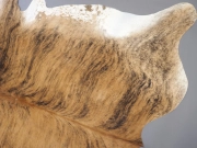 Шкура коровы натуральная тигровая светлая арт.: 29397 - T652d4f1200822785638004