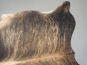 Шкура коровы натуральная тигровая арт.: 31374 - T69ce178280e89593854488