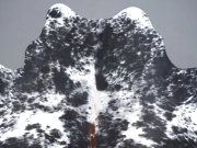 Натуральная шкура коровы черно-белая красноватая арт.: 31299 - T691da8338333c176963842